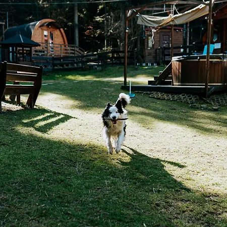 Pod Lasem Séjour à la ferme Poreba (Myslenice)