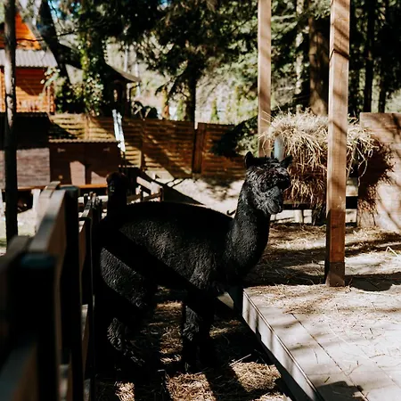 Feriegård Pod Lasem Poreba (Myslenice)