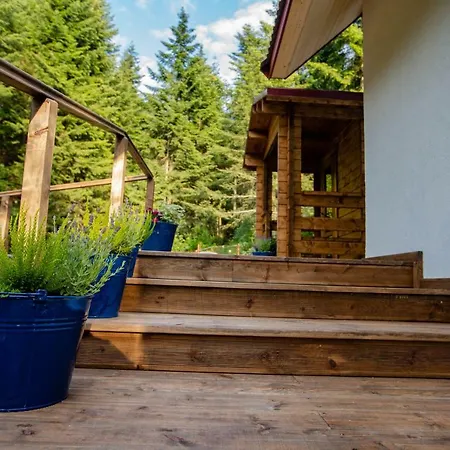 Pod Lasem Feriegård