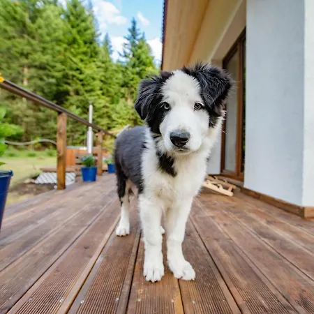 Pod Lasem Feriegård Poreba (Myslenice)