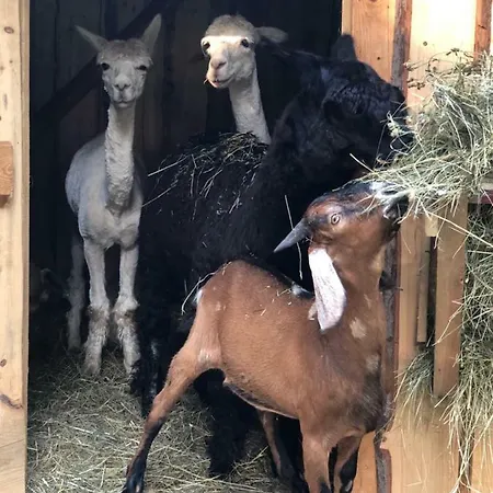 Pod Lasem Feriegård Poreba (Myslenice)