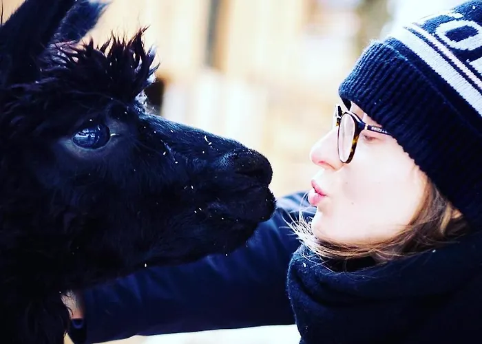 Agroturismo Pod Lasem Poreba (Myslenice)