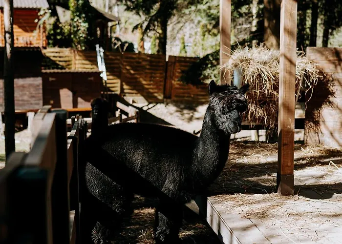 Agroturismo Pod Lasem Poreba (Myslenice)